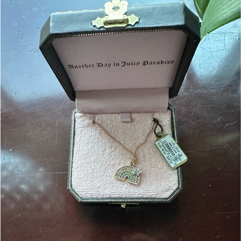 Juicy couture necklace